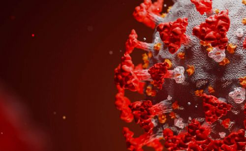 Netra | La relation entre la carence en vitamine D et les décès liés à COVID-19